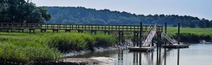 dock and marine photo of marsh dock